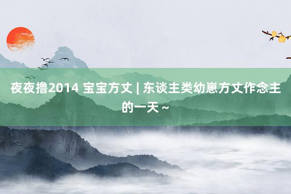 夜夜撸2014 宝宝方丈 | 东谈主类幼崽方丈作念主的一天~