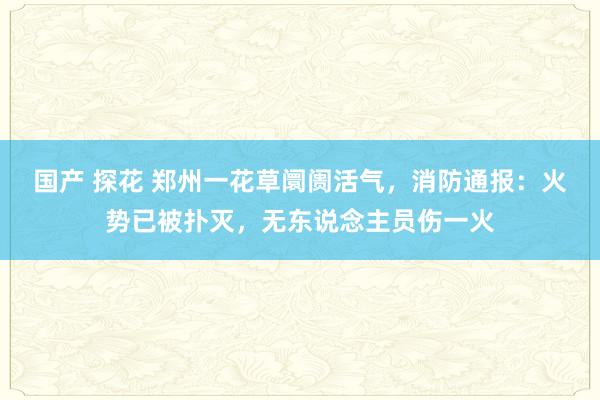 国产 探花 郑州一花草阛阓活气,消防通报:火势已被扑灭,无东说念主员伤一火