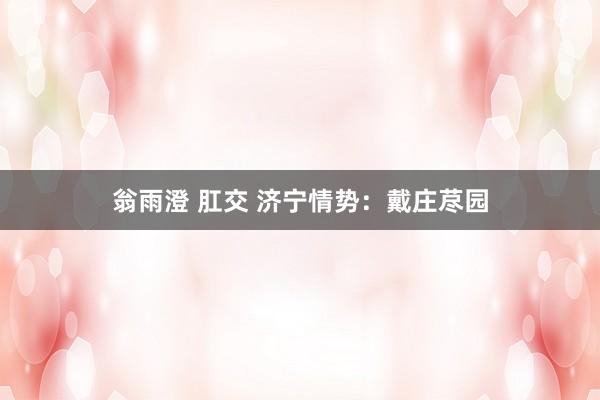 翁雨澄 肛交 济宁情势:戴庄荩园