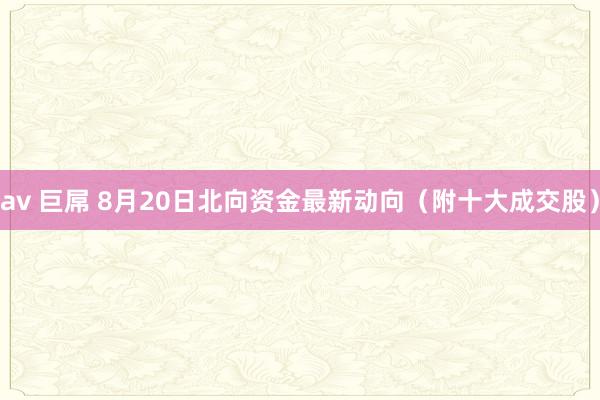av 巨屌 8月20日北向资金最新动向（附十大成交股）