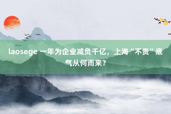laosege 一年为企业减负千亿，上海“不贵”底气从何而来？