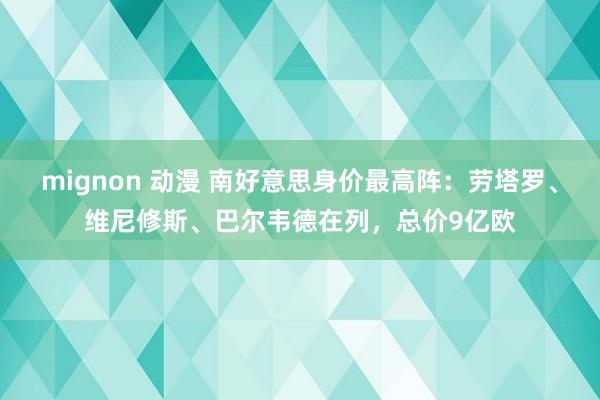 mignon 动漫 南好意思身价最高阵：劳塔罗、维尼修斯、巴尔韦德在列，总价9亿欧