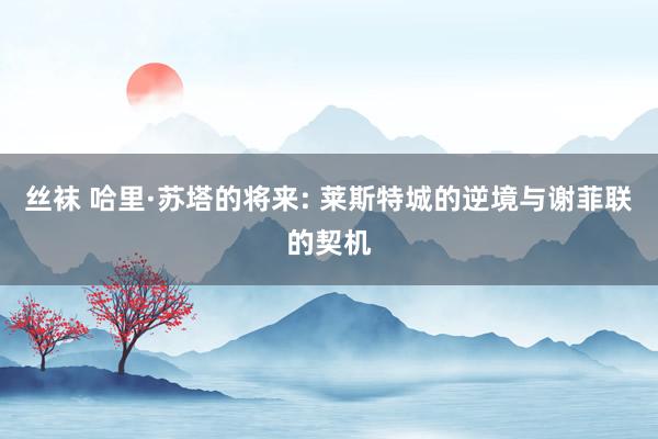 丝袜 哈里·苏塔的将来: 莱斯特城的逆境与谢菲联的契机