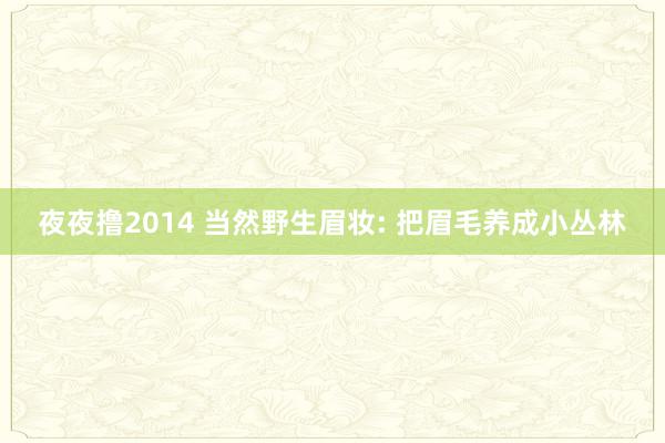 夜夜撸2014 当然野生眉妆: 把眉毛养成小丛林