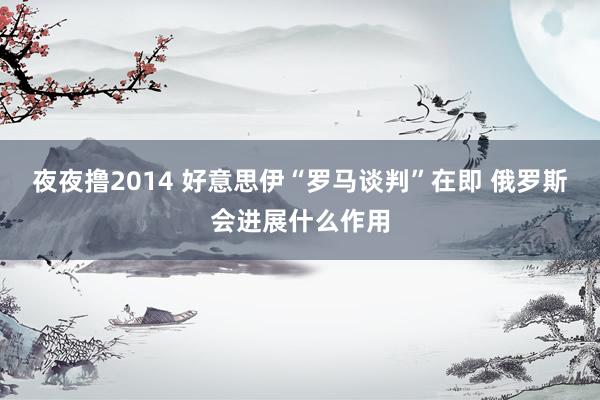 夜夜撸2014 好意思伊“罗马谈判”在即 俄罗斯会进展什么作用