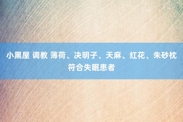 小黑屋 调教 薄荷、决明子、天麻、红花、朱砂枕符合失眠患者