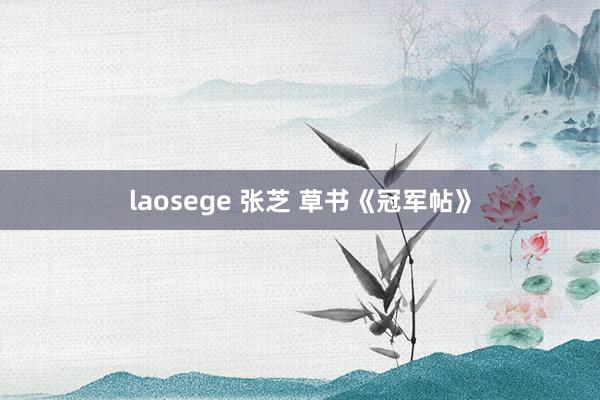 laosege 张芝 草书《冠军帖》