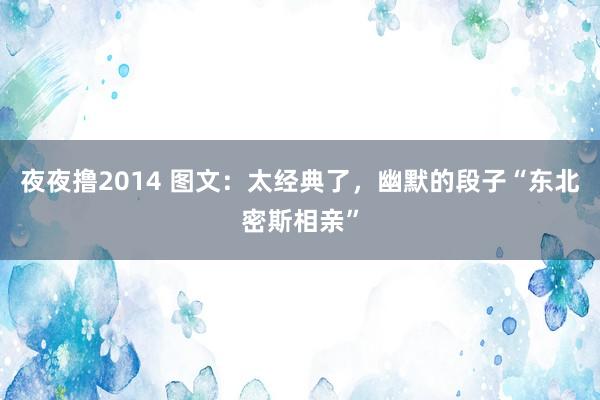 夜夜撸2014 图文：太经典了，幽默的段子“东北密斯相亲”